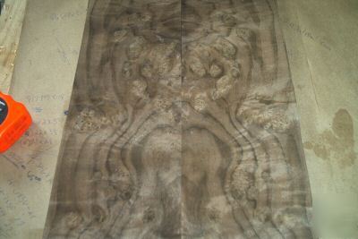 Walnut burl veneer 32 @ 6'' x 27'' [1567]