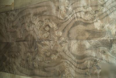 Walnut burl veneer 32 @ 6'' x 27'' [1567]