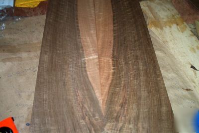 Walnut veneer 14 @ 8'' x 37'' [0877]