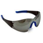 Doberman silver mirror blue gel nose safety glasses